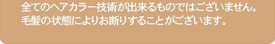 全てのヘアカラー技術が出来るものではございません。毛髪の状態によりお断りすることがございます。